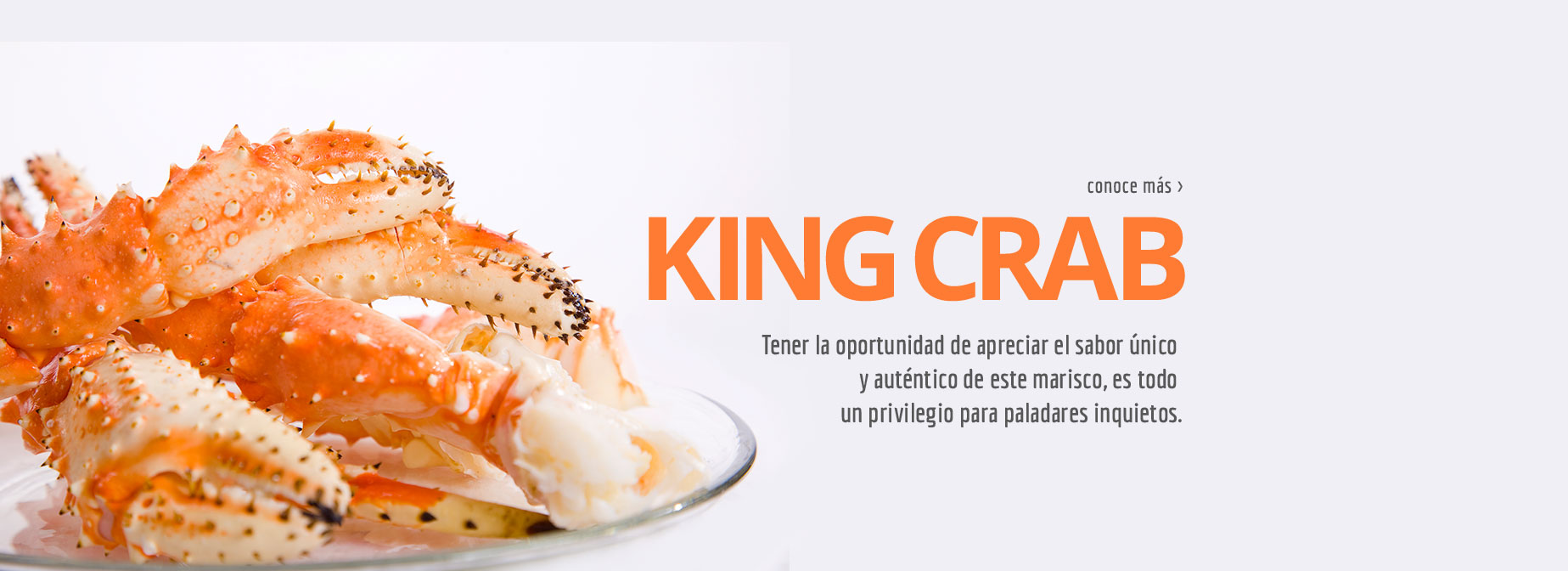 KING CRAB - Tener la oportunidad de apreciar el sabor único y auténtico de este marisco, es todo un privilegio para paladares inquietos