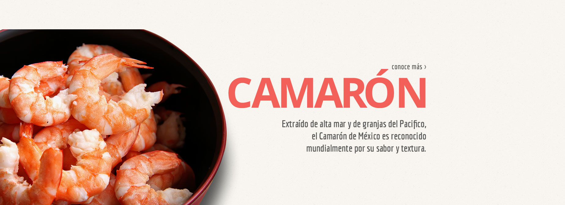CAMARON - Extraído de alta mar y de granjas del Pacífico, el Camarón de México es reconocido mundialmente por su sabor y textura.