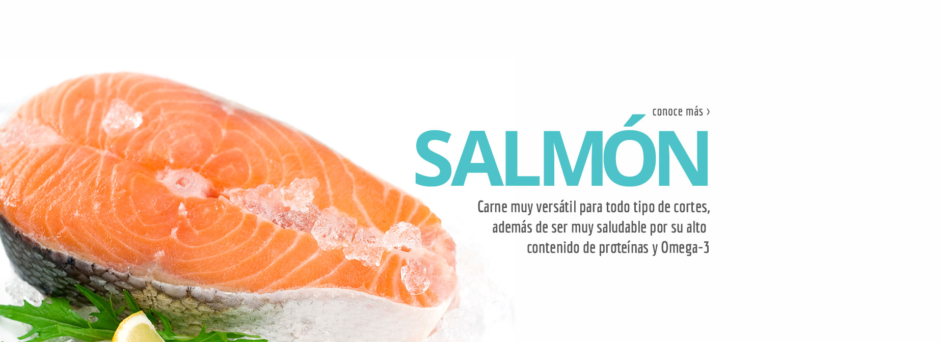 SALMON - Carne muy versátil para todo tipo de cortes, además de ser muy saludable por su alto contenido de proteínas y Omega-3